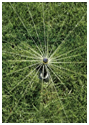 Rainlink Australia Irrigation Specialists Melbourne Rainlink Australia Irrigation Specialists Melbourne