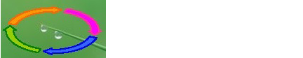 Rainlink Australia- Irrigation specialists Melbourne